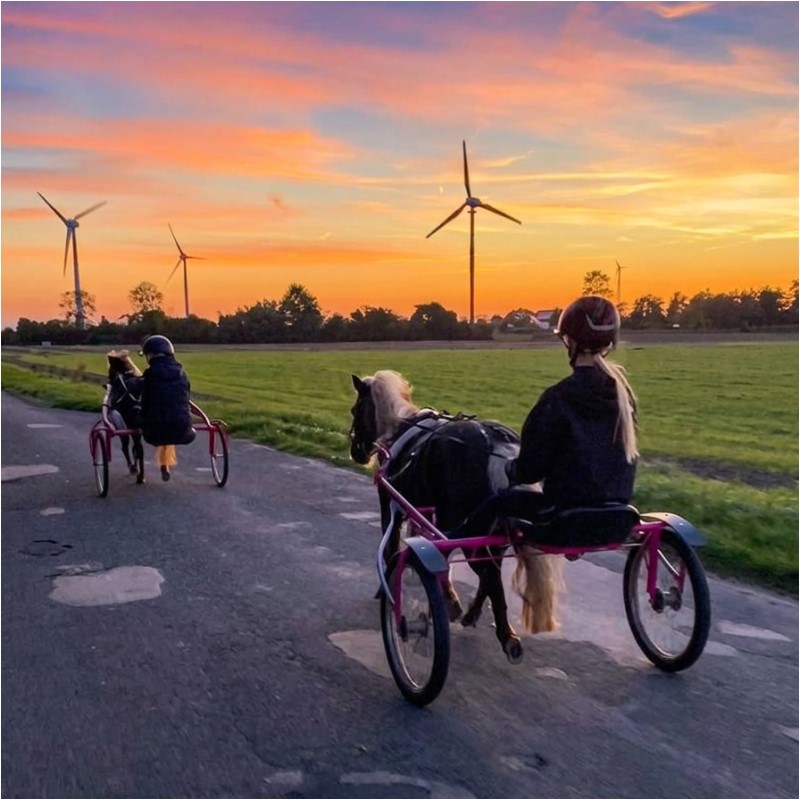 2 Kinder fahren auf Sulkys mit Ponys davor im Abendrot durch die ostfriesische Landschaft.