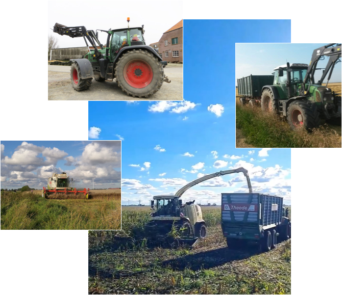 Bilder von Landwirtschaftlichen Fahrzeugen beim Maisernten, Weizenernten und abtransportieren.