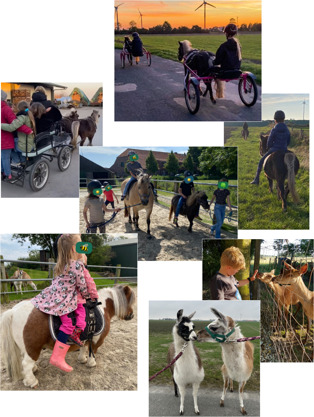 Bilder von Freizeitangeboten mit Kindern die Ponyreiten, Kutschfahrten und Sulkyfahrten machen sowie Wildtiere füttern.